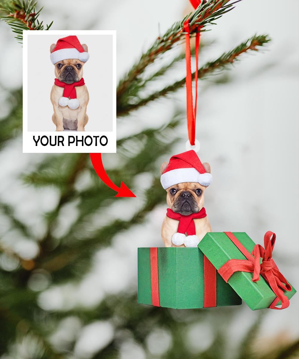 Custom photo Ornament | Dog box