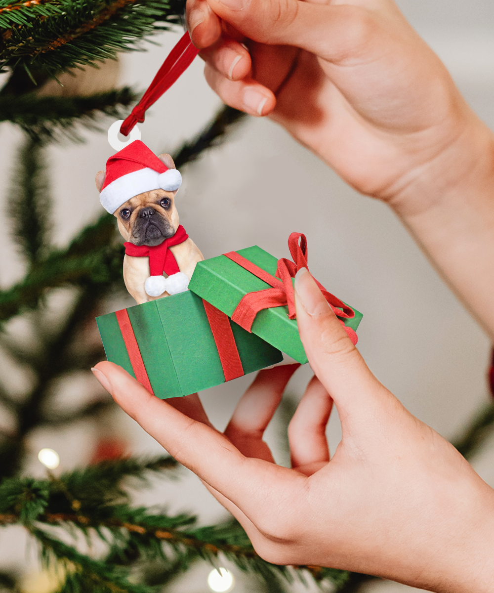 Custom photo Ornament | Dog box