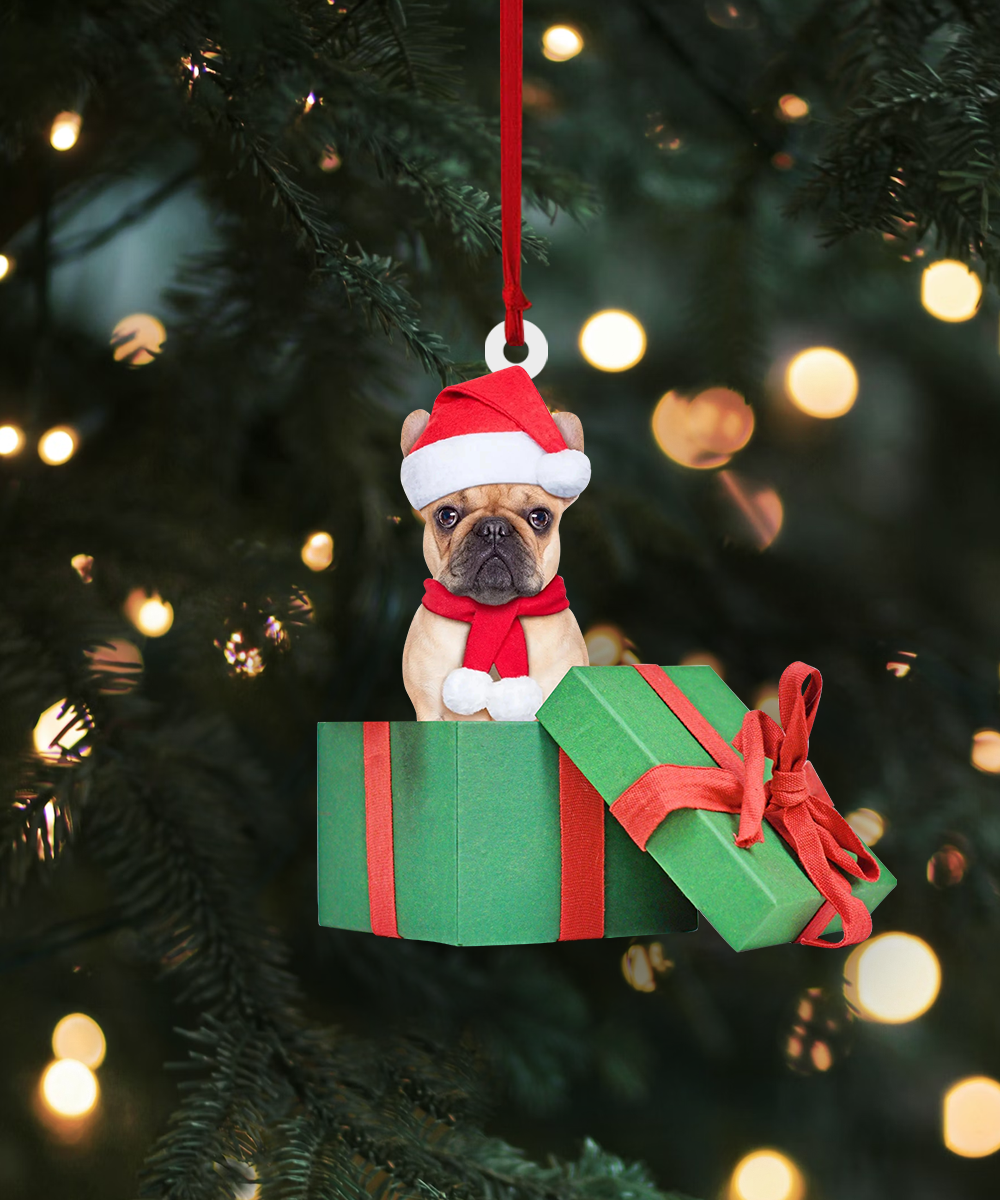 Custom photo Ornament | Dog box
